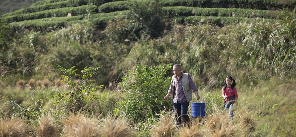 13 films et coproductions fran&ccedil;aises en lice pour l'Oscar du Meilleur film &eacute;tranger