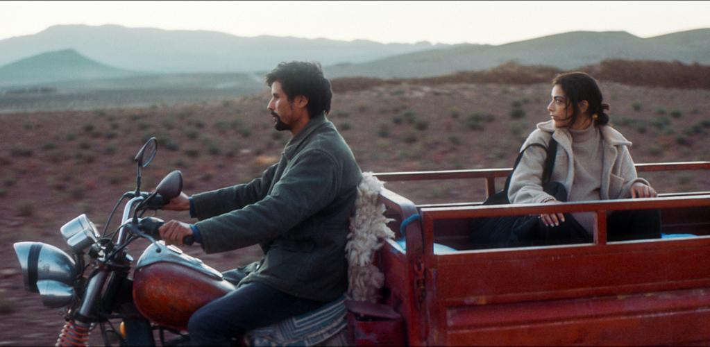 Animalia - &copy; Ad Vitam