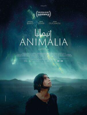Animalia - Tunisia