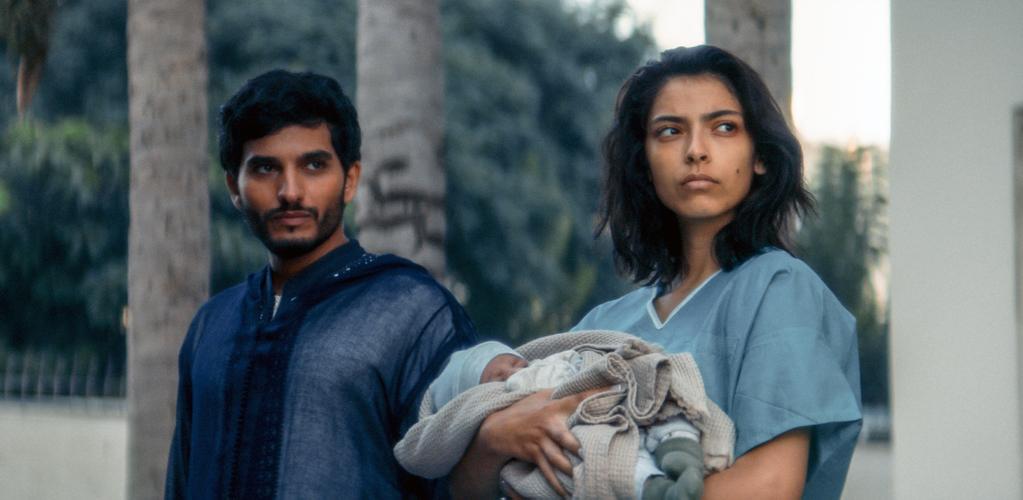 Animalia - &copy; Ad Vitam