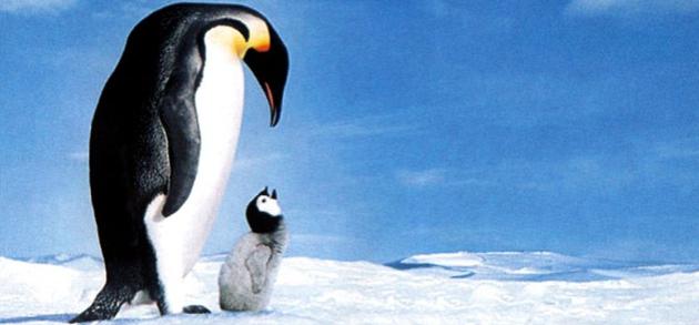 Etude sur le documentaire fran&ccedil;ais &agrave; l&rsquo;international (2004-2013)