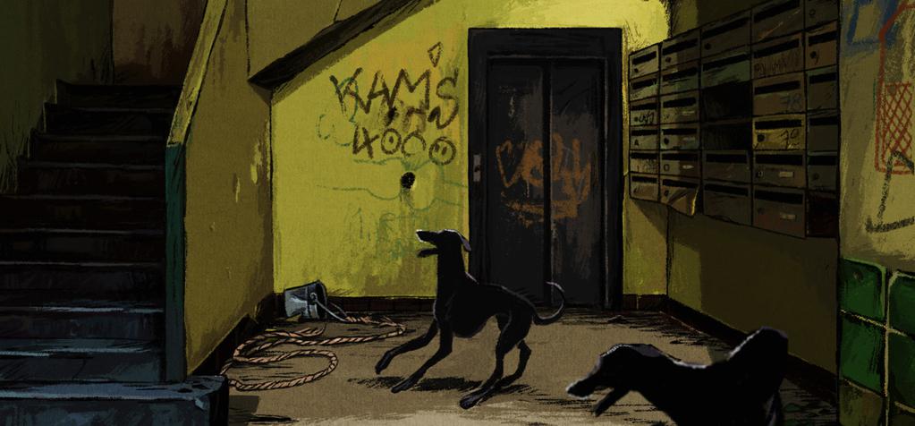 Le Court du mois - F&eacute;vrier 2017