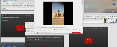 media - &copy; Chlo&eacute; Galibert-La&icirc;n&eacute; - Kevin B. Lee