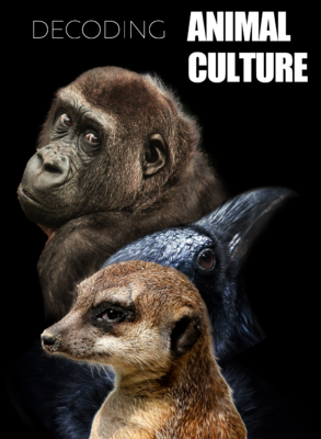 media - &copy; Terranoa